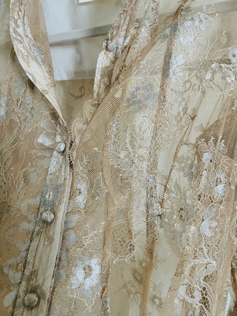 Maeve Anthropologie Sheer Lace Button-Down Shirt in Beige - Picture 2 of 7
